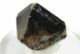 Translucent Cassiterite Crystal - Viloco Mine, Bolivia #249634-1